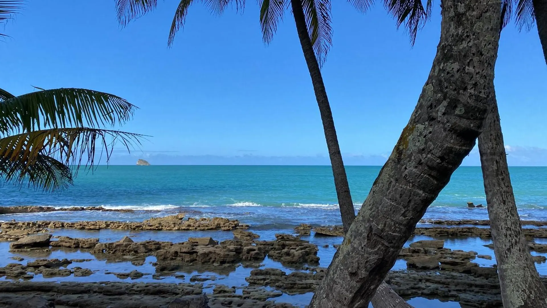 פוינט-נואר Appartement Avec Une Vue Sur Mer 0*,